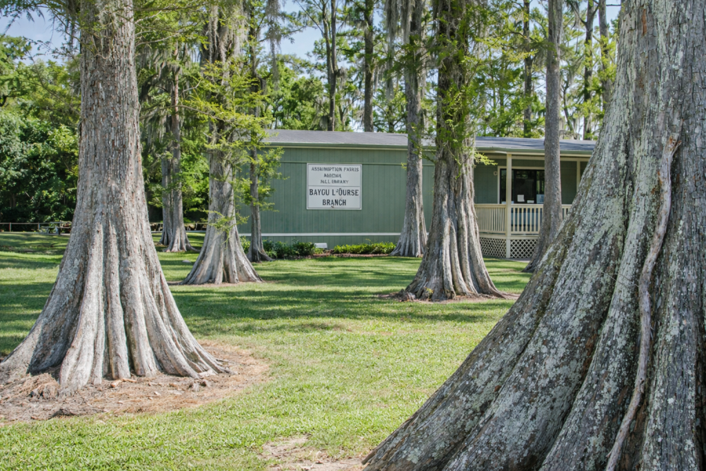 Bayou L'Ourse Branch
