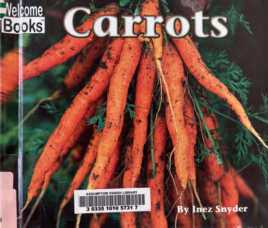 "Harvesttime: Carrots", by Inez Sydner /craft (Carrot) at Belle Rose