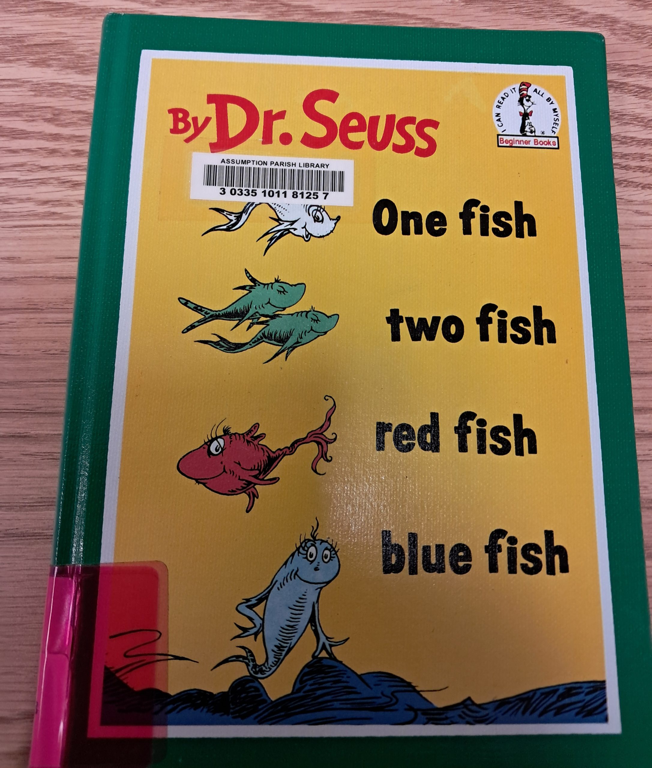 Storytime at Napoleonville