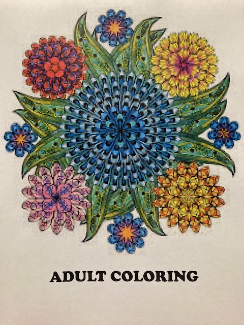 Adult Coloring at Pierre Part